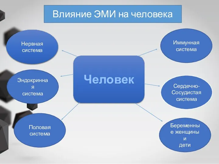 Человек Нервная система Эндокринная система Половая система Беременные женщины и дети