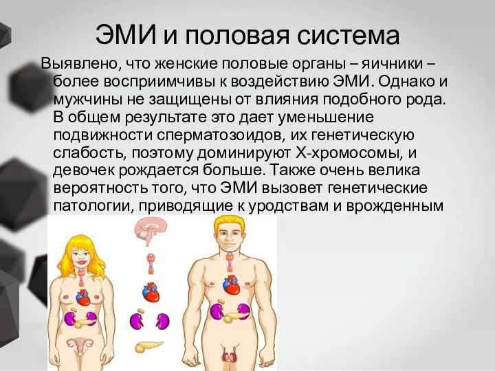 ЭМИ и половая система Выявлено, что женские половые органы – яичники