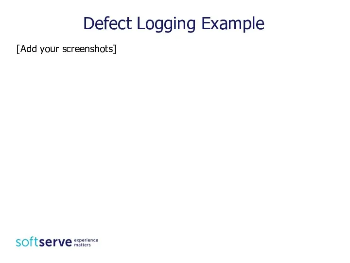 Defect Logging Example [Add your screenshots]