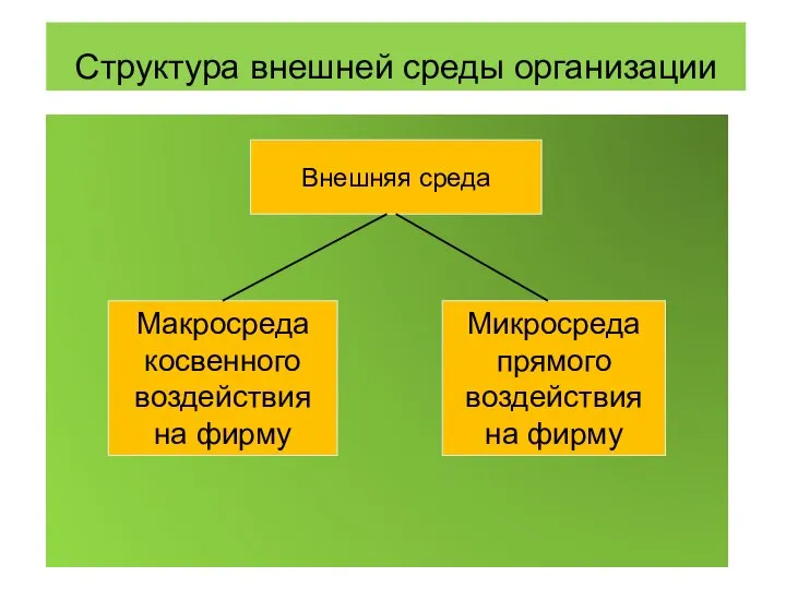 Структура внешней среды организации Внешняя среда Макросреда косвенного воздействия на фирму Микросреда прямого воздействия на фирму