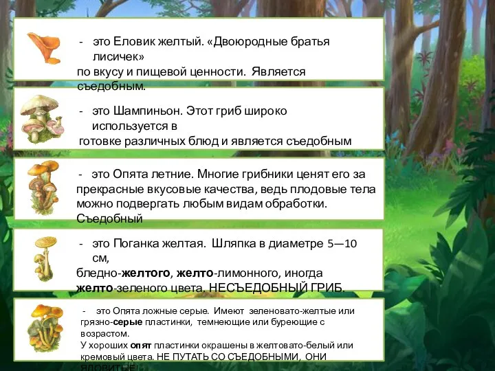 это Шампиньон. Этот гриб широко используется в готовке различных блюд и