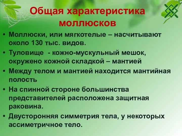 Общая характеристика моллюсков Моллюски, или мягкотелые – насчитывают около 130 тыс.