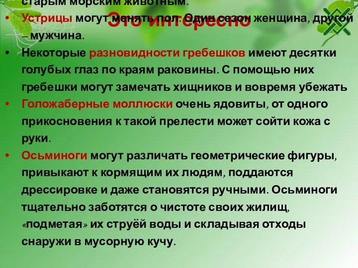 Это интересно Самый старый пойманный человеком моллюск, по оценкам ученых имел