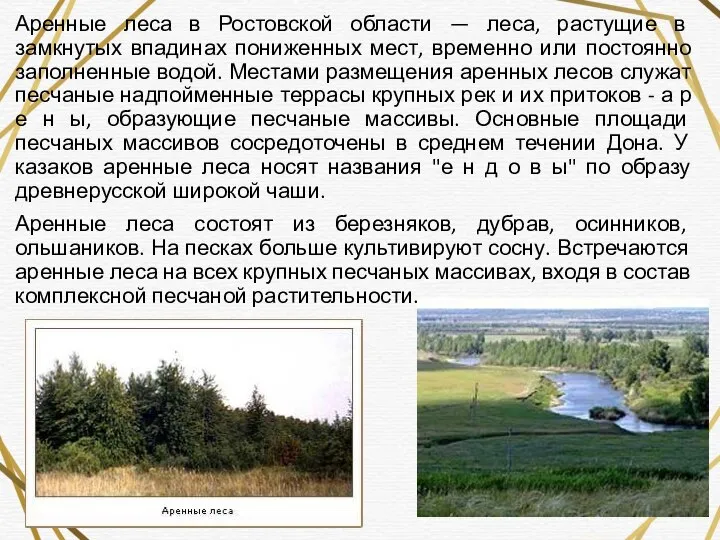 Аренные леса в Ростовской области — леса, растущие в замкнутых впадинах