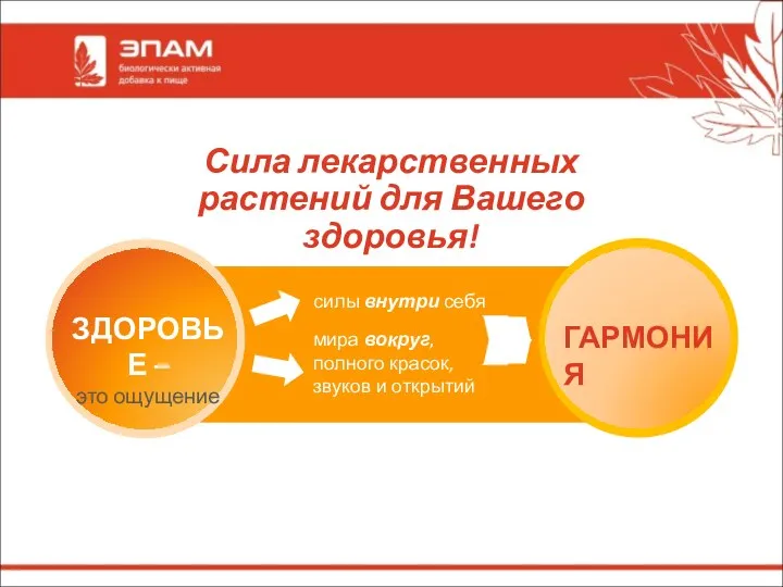 Сила лекарственных растений для Вашего здоровья! ЗДОРОВЬЕ – это ощущение силы