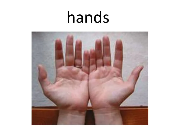 hands