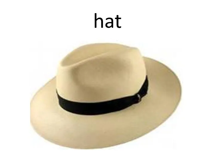 hat