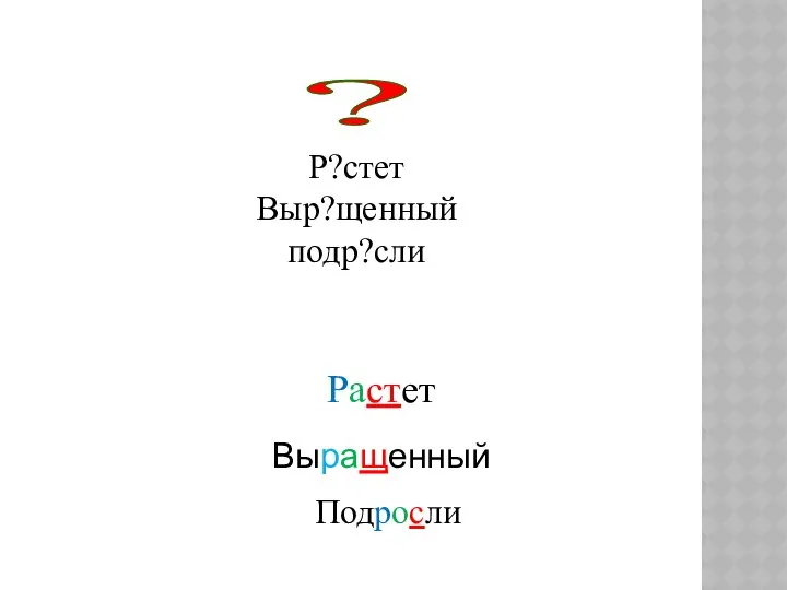 Р?стет Выр?щенный подр?сли ? Растет Выращенный Подросли