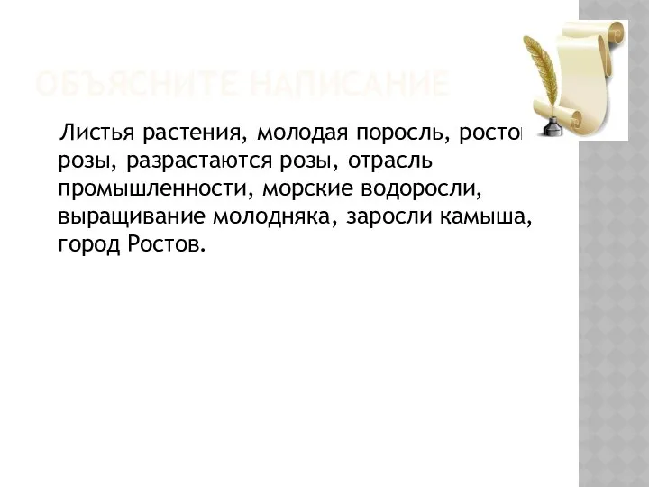 ОБЪЯСНИТЕ НАПИСАНИЕ Листья растения, молодая поросль, росток розы, разрастаются розы, отрасль