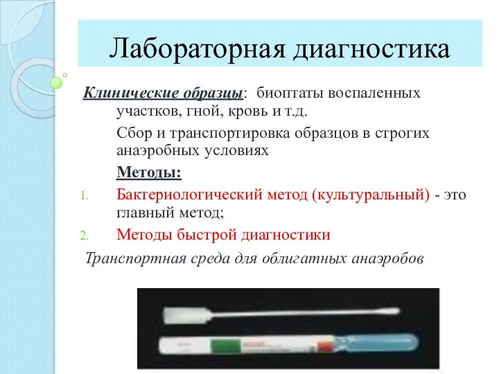 Лабораторная диагностика Клинические образцы: биоптаты воспаленных участков, гной, кровь и т.д.