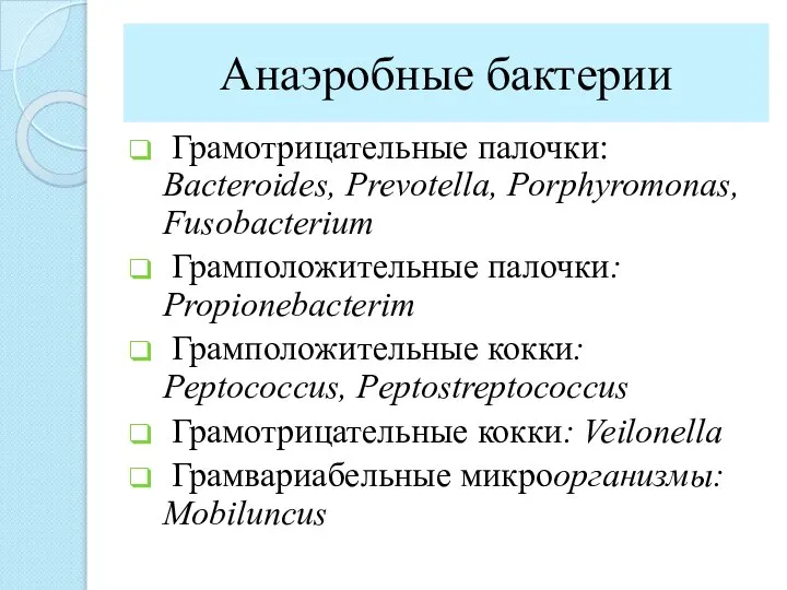 Анаэробные бактерии Грамотрицательные палочки: Bacteroides, Prevotella, Porphyromonas, Fusobacterium Грамположительные палочки: Propionebacterim