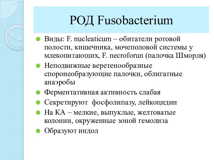 РОД Fusobacterium Виды: F. nucleaticum – обитатели ротовой полости, кишечника, мочеполовой