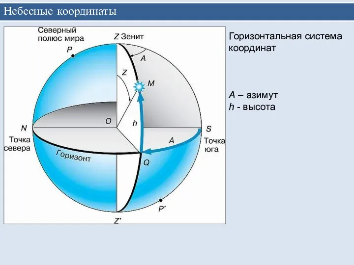 Небесные координаты Горизонтальная система координат А – азимут h - высота