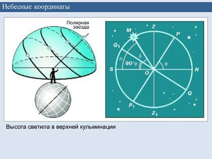 Небесные координаты Высота светила в верхней кульминации