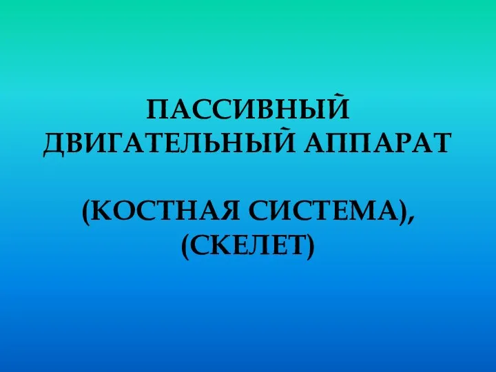 ПАССИВНЫЙ ДВИГАТЕЛЬНЫЙ АППАРАТ (КОСТНАЯ СИСТЕМА), (СКЕЛЕТ)