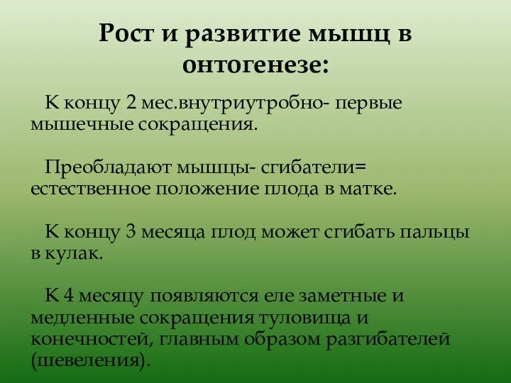 Рост и развитие мышц в онтогенезе: К концу 2 мес.внутриутробно- первые