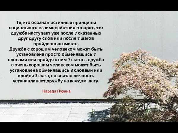 Те, кто осознал истинные принципы социального взаимодействия говорят, что дружба наступает