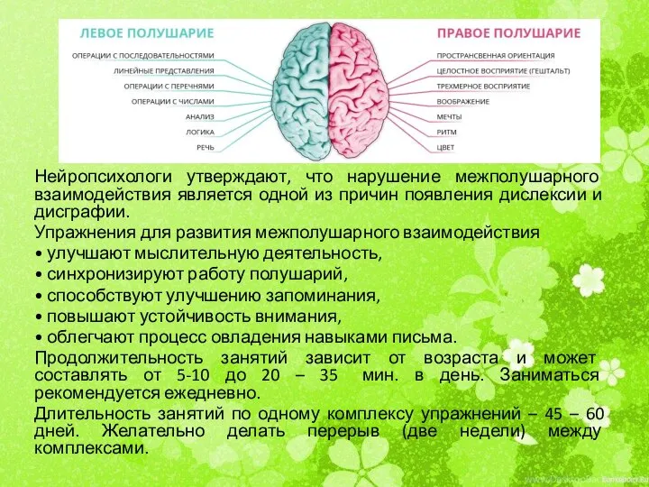 Нейропсихологи утверждают, что нарушение межполушарного взаимодействия является одной из причин появления