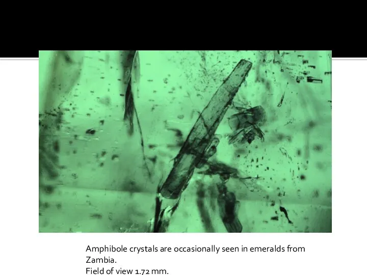 Amphibole crystals are occasionally seen in emeralds from Zambia. Field of view 1.72 mm.