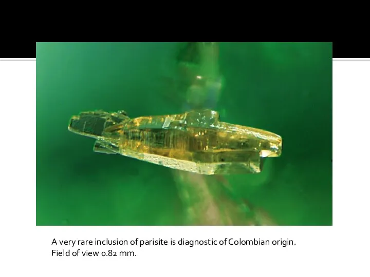 A very rare inclusion of parisite is diagnostic of Colombian origin. Field of view 0.82 mm.