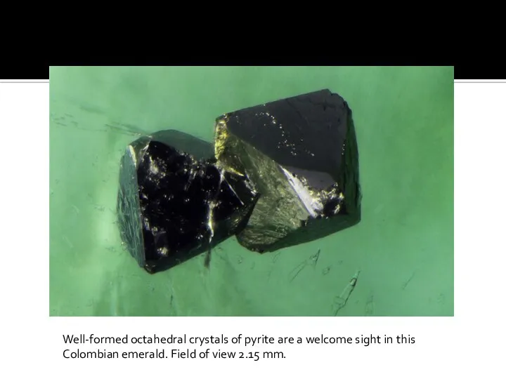 Well-formed octahedral crystals of pyrite are a welcome sight in this