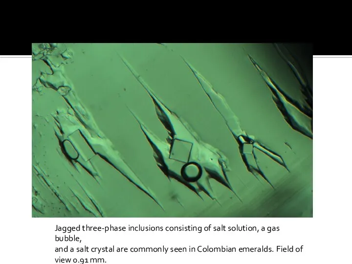 Jagged three-phase inclusions consisting of salt solution, a gas bubble, and