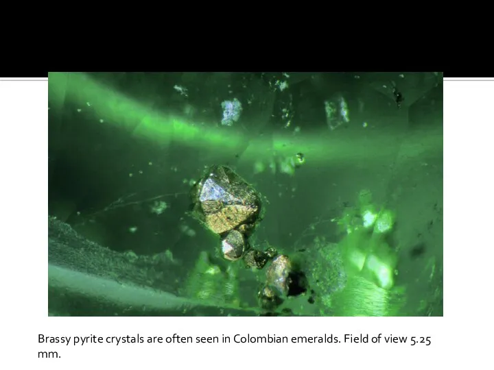 Brassy pyrite crystals are often seen in Colombian emeralds. Field of view 5.25 mm.