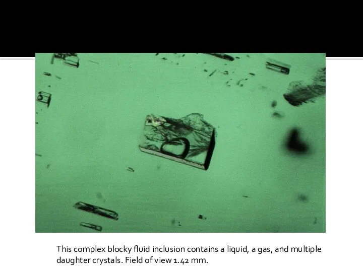 This complex blocky fluid inclusion contains a liquid, a gas, and