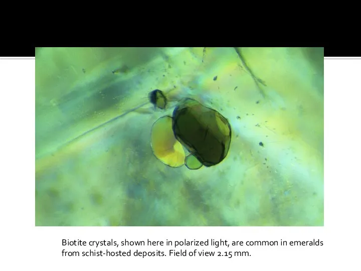 Biotite crystals, shown here in polarized light, are common in emeralds