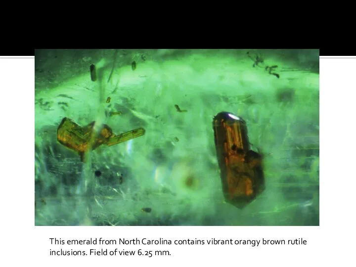 This emerald from North Carolina contains vibrant orangy brown rutile inclusions. Field of view 6.25 mm.