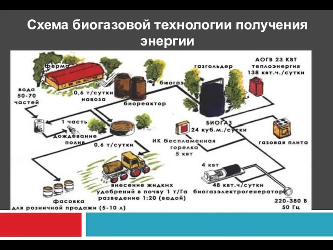 Схема биогазовой технологии получения энергии