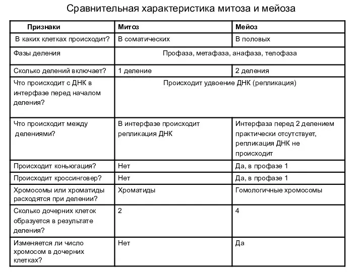 Сравнительная характеристика митоза и мейоза