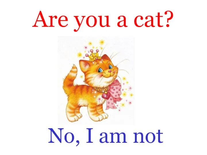 Are you a cat? No, I am not