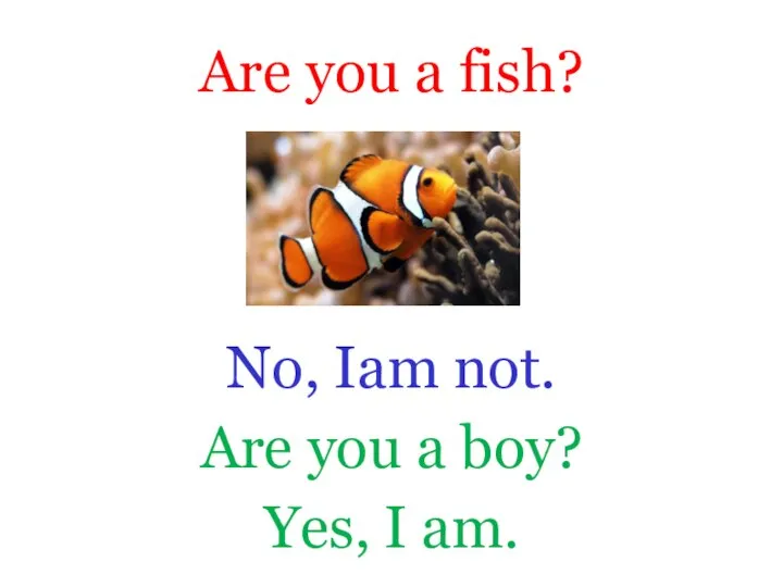 Are you a fish? No, Iam not. Are you a boy? Yes, I am.