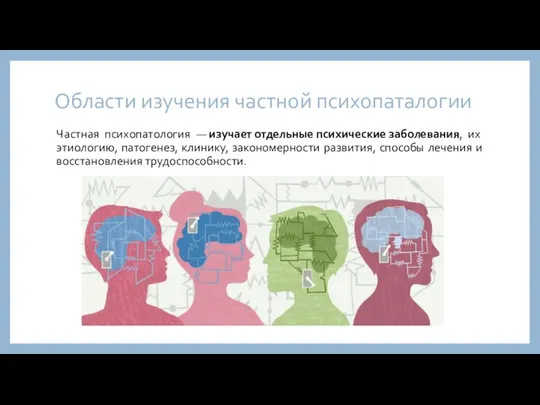 Области изучения частной психопаталогии Частная психопатология — изучает отдельные психические заболевания,