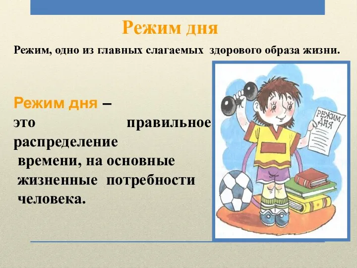 Режим дня – это правильное распределение времени, на основные жизненные потребности