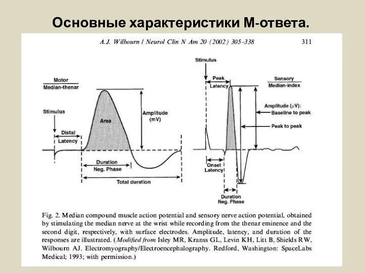 Основные характеристики М-ответа.