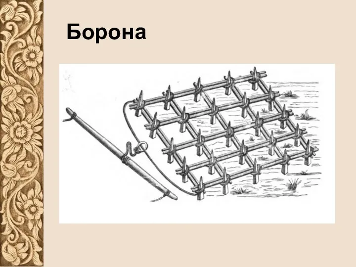 Борона