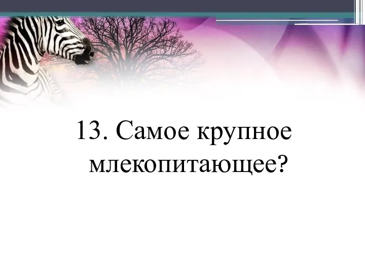 13. Самое крупное млекопитающее?