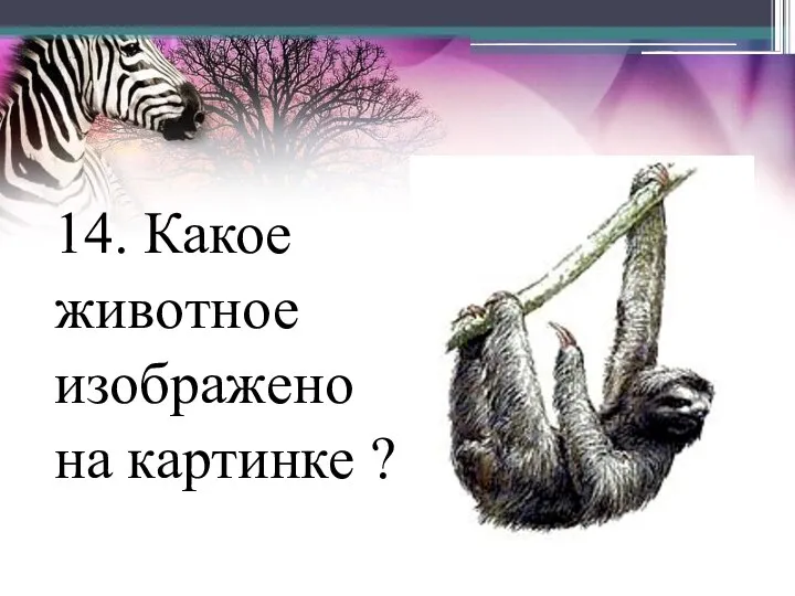 14. Какое животное изображено на картинке ?