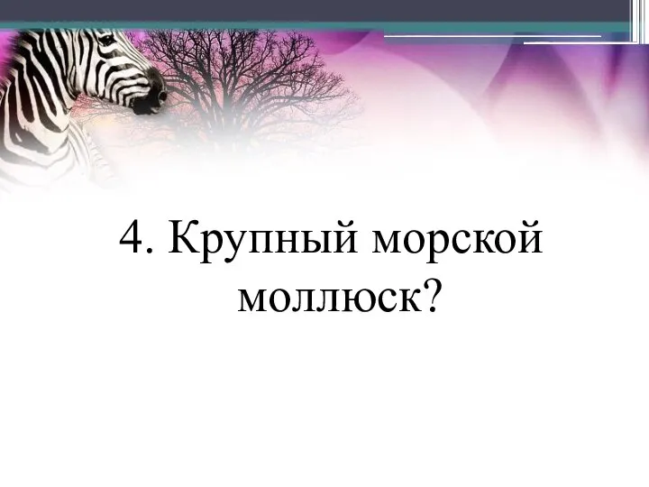 4. Крупный морской моллюск?