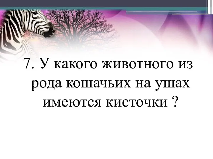 7. У какого животного из рода кошачьих на ушах имеются кисточки ?