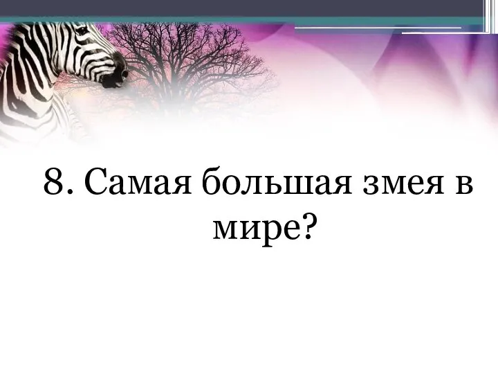 8. Самая большая змея в мире?