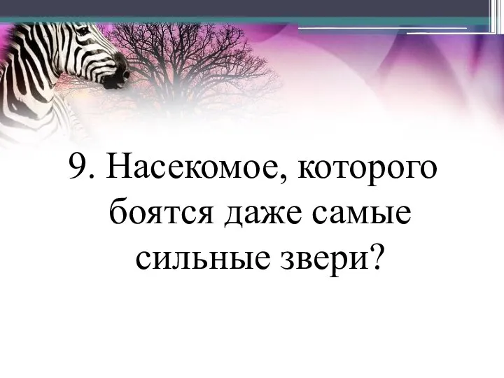 9. Насекомое, которого боятся даже самые сильные звери?