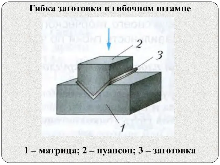 1 – матрица; 2 – пуансон; 3 – заготовка Гибка заготовки в гибочном штампе