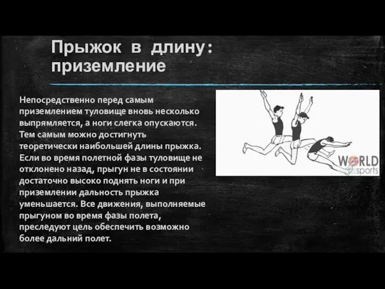 Прыжок в длину: приземление Непосредственно перед самым приземлением туловище вновь несколько