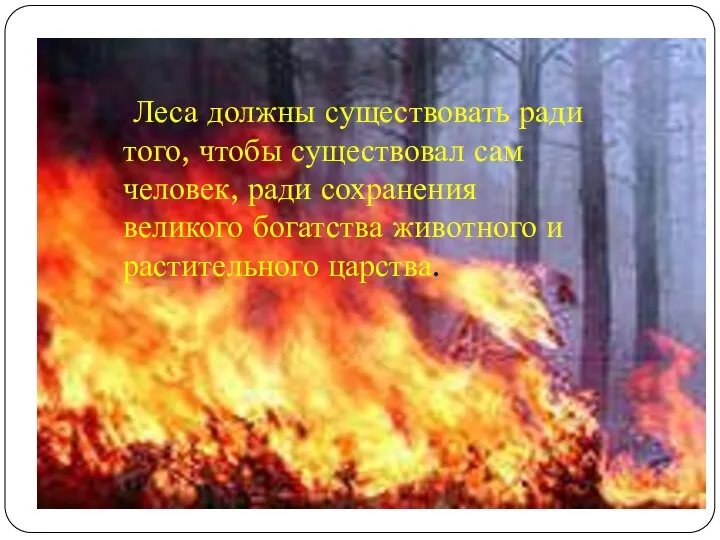 . Леса должны существовать ради того, чтобы существовал сам человек, ради