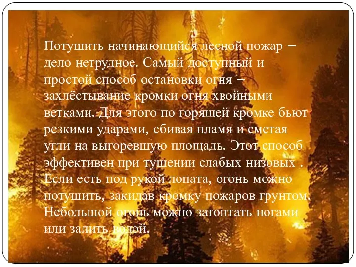 Потушить начинающийся лесной пожар – дело нетрудное. Самый доступный и простой