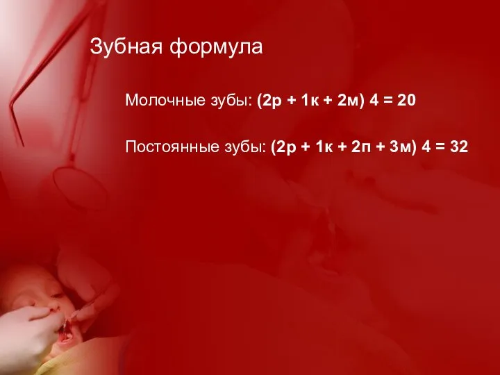 Зубная формула Молочные зубы: (2р + 1к + 2м) 4 =