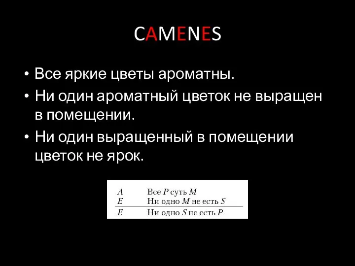 CAMENES Все яркие цветы ароматны. Ни один ароматный цветок не выращен